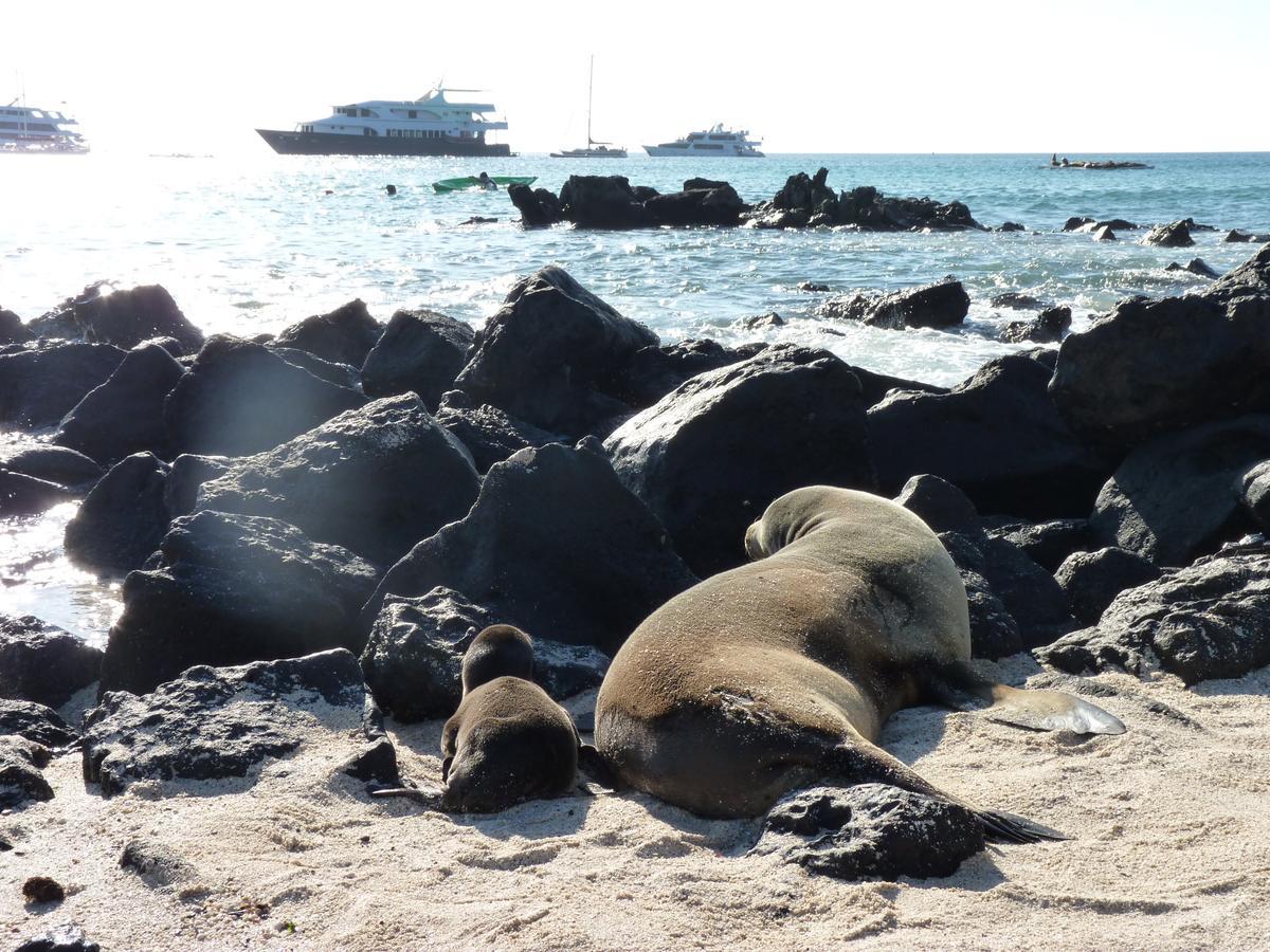 Hostal Nathaly Puerto Baquerizo Moreno Bagian luar foto