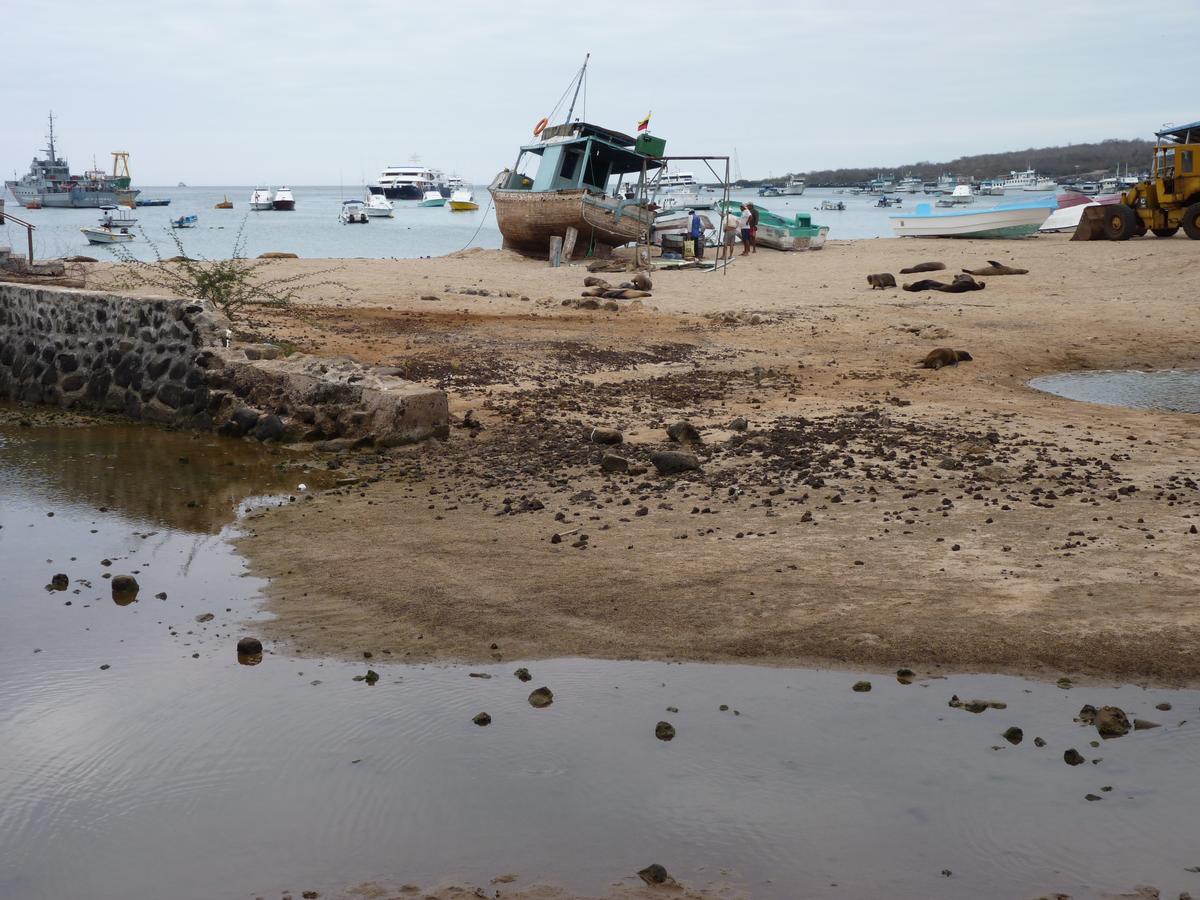 Hostal Nathaly Puerto Baquerizo Moreno Bagian luar foto