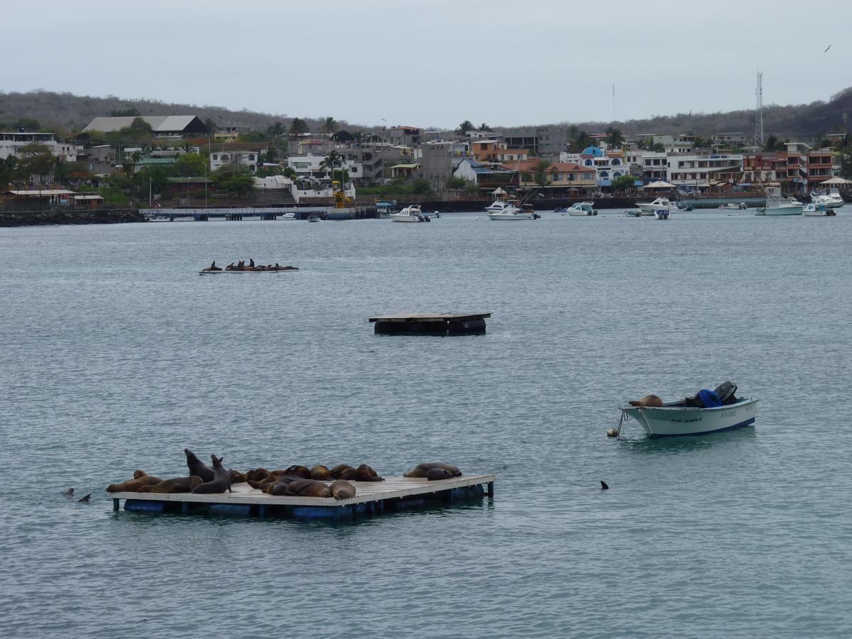 Hostal Nathaly Puerto Baquerizo Moreno Bagian luar foto